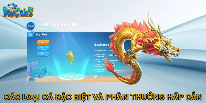 Các Loại Cá Đặc Biệt và Phần Thưởng Hấp Dẫn