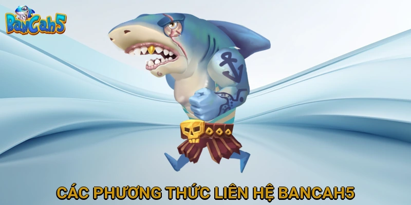 Các Phương Thức Liên Hệ BANCAH5 Nhanh Chóng và Hiệu Quả