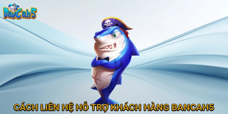 Cách Liên Hệ Hỗ Trợ Khách Hàng BANCAH5