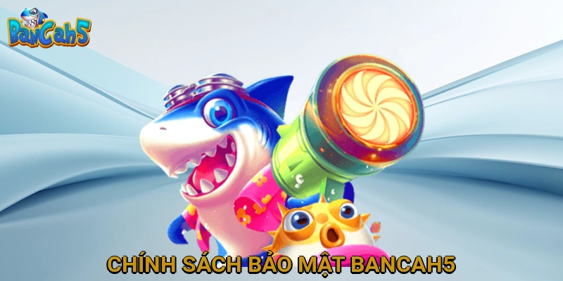 Chính Sách Bảo Mật