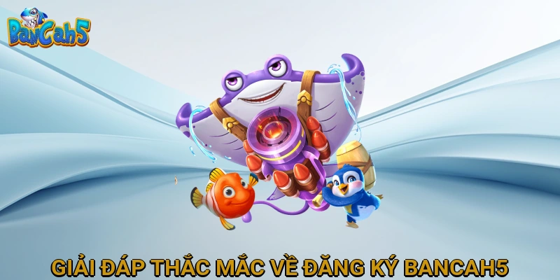 Giải đáp thắc mắc thường gặp về đăng ký BANCAH5