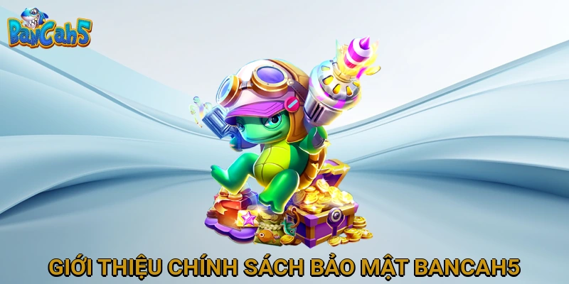 Giới Thiệu Chính Sách Bảo Mật của BANCAH5