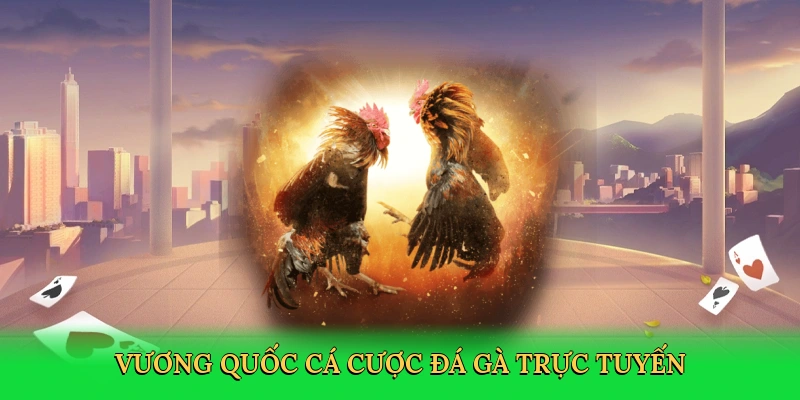 vuong-quoc-ca-cuoc-da-ga-truc-tuyen-3