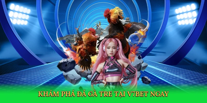 Khám phá đá gà tre tại V7BET ngay
