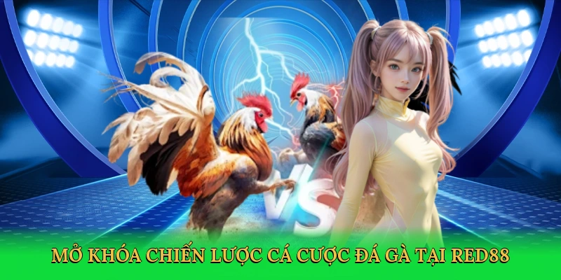 mo-khoa-chien-luoc-ca-cuoc-da-ga-tai-red88-4