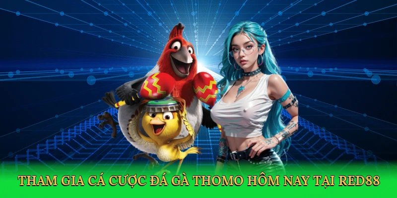 tham-gia-ca-cuoc-da-ga-thomo-hom-nay-tai-red88-3